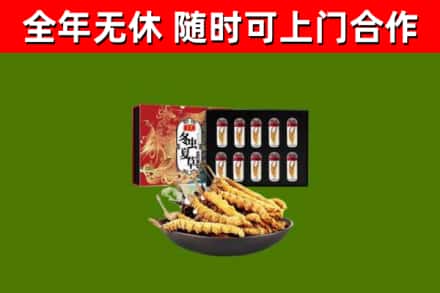 昌吉州回收冬虫夏草价格
